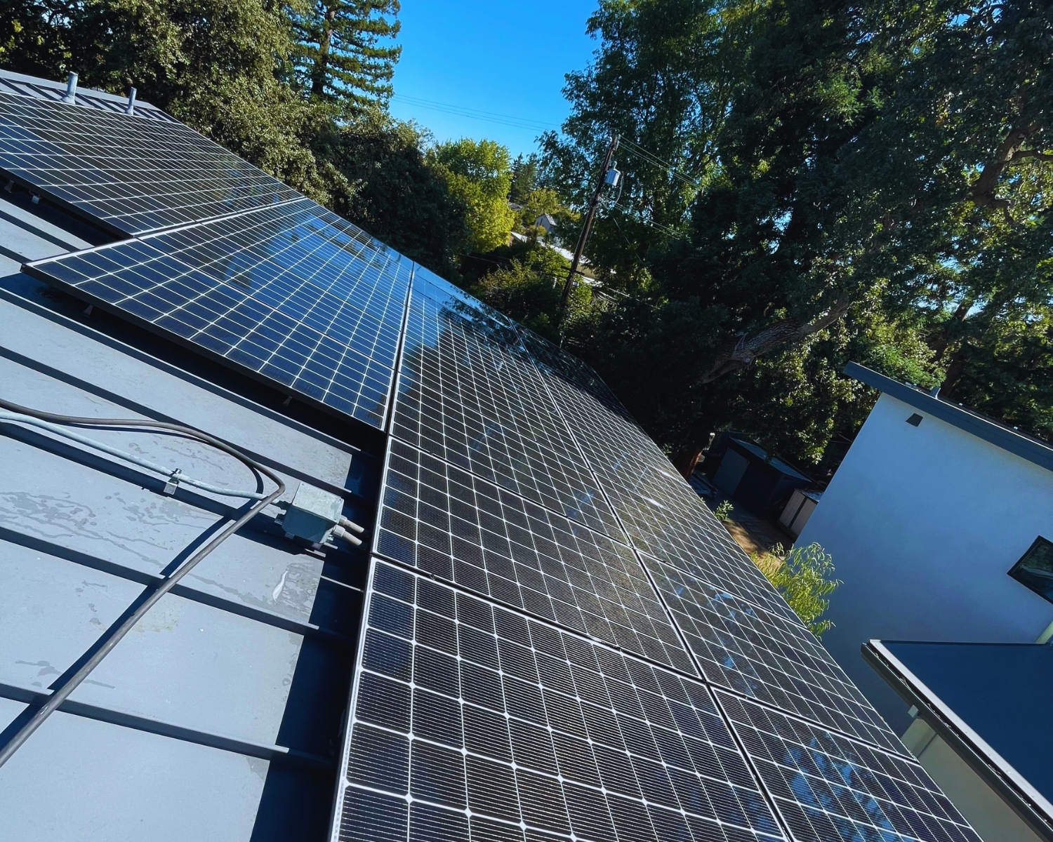 Solar Panel Cleaning